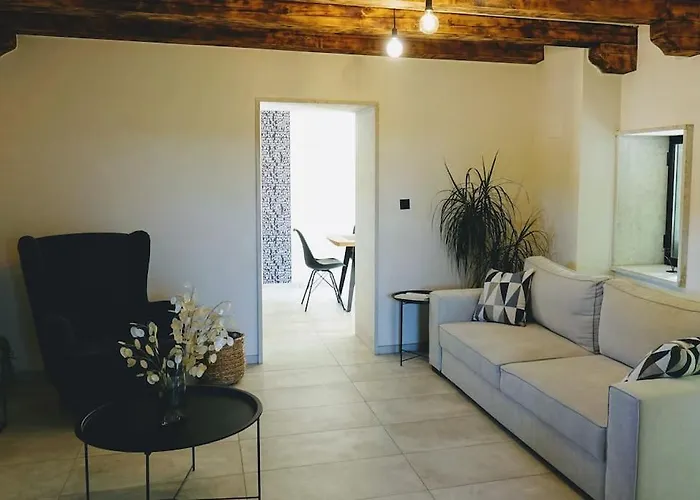 Pepa Vila Pazin