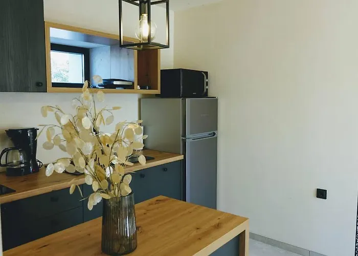 Pepa By Istra Vacation Villa Pazin